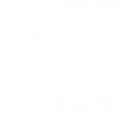 Calgary Corporate Challenge | Divisions