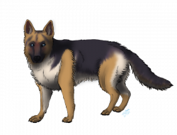 28+ Collection of German Shepherd Clipart Png | High quality, free ...