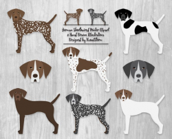 German Shorthaired Pointer Clipart Hunting Dogs Illustration Liver Roan  Black White Speckled Brown GSP Pet Faces Dog Scrapbooking Graphics
