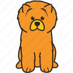 Chow Chow | Color Edition | Dog Breed Cartoon | Download Your Breed ...