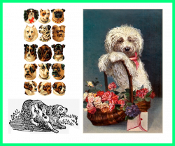 Stunning Vintage Dog Collection By Victorian Lady Scrapbook Clipart ...