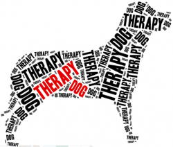 Are the Results of Animal Therapy Studies Unreliable ...