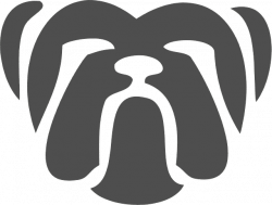 Free Image on Pixabay - Bulldog, Face, Dog, Canine | Dog, English ...
