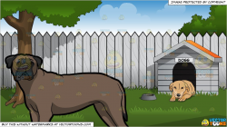 A Bull Mastiff Pet Dog and Backyard With Doghouse Background