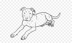 American Bully Dog clipart - Bulldog, Drawing, Dog ...