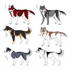 Dogsled Drawing at GetDrawings.com | Free for personal use Dogsled ...