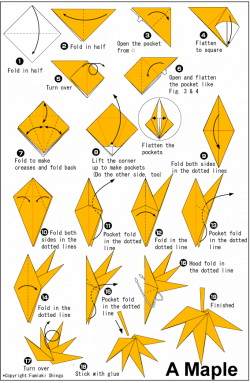 Maple leaf | Pinterest | Origami, Leaves and Napkins
