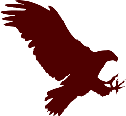 Flying Eagle Silhouette / Image ID: 59 | PNG Photo with Transparent ...