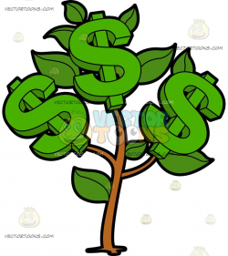 A Small Money Plant Bearing Dollars : A money plant growing ...