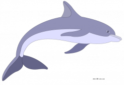 color dolphin clipart - Clipground