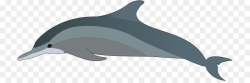 Animal Cartoon clipart - Dolphin, transparent clip art