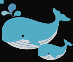 Dolphin Clipart No White Background