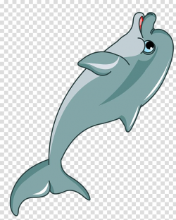 Dolphin Cartoon , dolphin transparent background PNG clipart ...