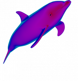 Purple Clipart Dolphin#3825800