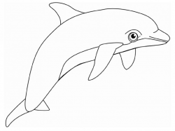 Free Free Dolphin, Download Free Clip Art, Free Clip Art on ...