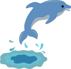Swimming with dolphins clipart - Clip Art Library