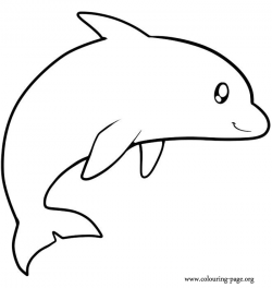 Baby Dolphin Pictures | 22 Words - Clip Art Library