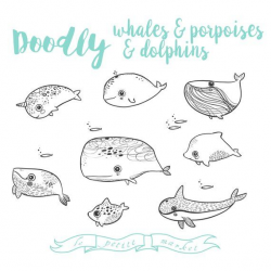 Hand Drawn Whale Porpoise Dolphin Clipart, Vector Clipart ...