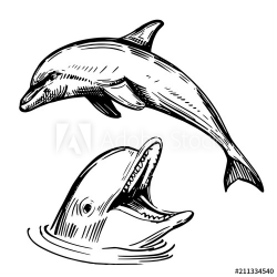 Sketch of dolphin. Hand drawn illustration converted to ...