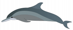 clipartist.net » Clip Art » dolphin SVG