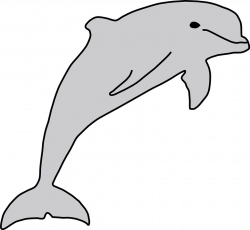 Collection of Line Drawing Of Dolphin | Buy any image and use it for ...