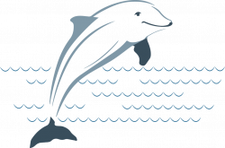 Dolphin Plumbing - Home