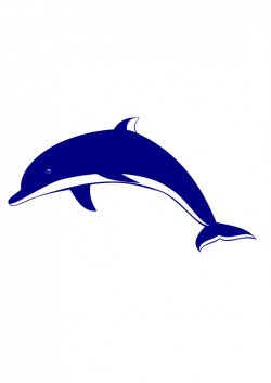Dolphin | 100 Wallpapers