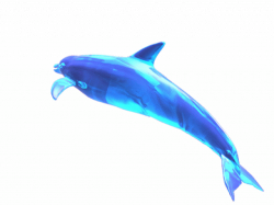 Dolphin Clipart - Free Clipart on Dumielauxepices.net
