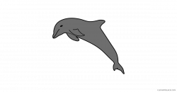 Amazing Dolphin Clipart - ClipartBlack.com