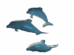 Dolphins Cliparts Free Download Clip Art - carwad.net