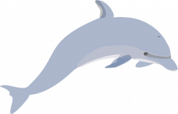 Dolphin Swimming Cliparts#4661525 - Shop of Clipart Library
