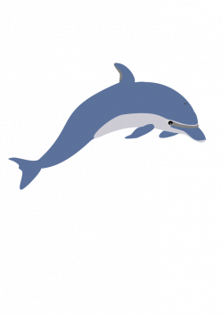 File:Dolphin enrique meza c 02.svg - Wikipedia