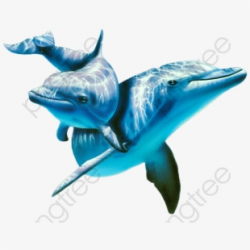 Dolphin Clipart Teal - Дельфины Пара #103418 - Free Cliparts ...
