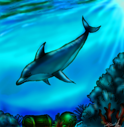 Download dolphin underwater drawing clipart How to Draw ...