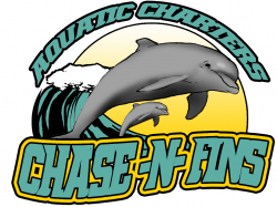 Aquatic Charters' Chasin Fins Dolphin Cruises | Southern ...