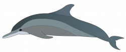Real Dolphin Cliparts - Cliparts Zone