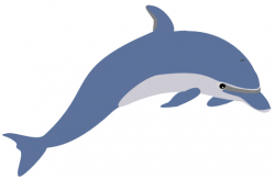 Free Dolphin and Whale Graphics - Ocean Clipart