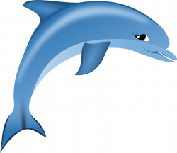 Pictures Of Cartoon Dolphins#5274260 - Shop of Clipart Library