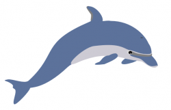 Bottlenose Dolphin Clipart | Free download best Bottlenose ...