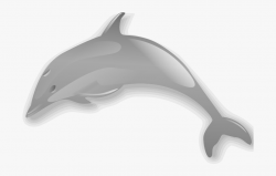 Dolphin Enrique Meza C 02 Clip Art Download - Dolphin Clip ...