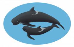 Faroe Whales Action Group 2014 - FWAG Juniors