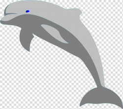 Bottlenose dolphin , Gray dolphins transparent background ...