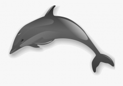 Dolphins Clipart Gray Dolphin - Dolphins Animal No ...