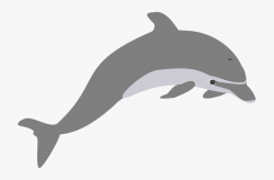 Dolphin Jump Grey Elegant Transparent Png Images ...