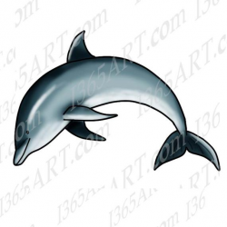 50% OFF Digital Jumping Dolphin Clipart, Animal, Ocean ...