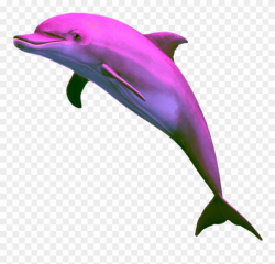 Aesthetic Dolphin Png Clipart (#3701334) - PinClipart