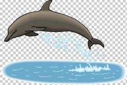 Spinner Dolphin All About Dolphins Bottlenose Dolphin PNG ...