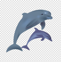 Bottlenose dolphin , Cartoon dolphins jump transparent ...