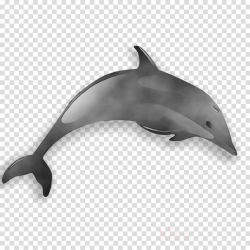 Animal Cartoon clipart - Dolphin, transparent clip art