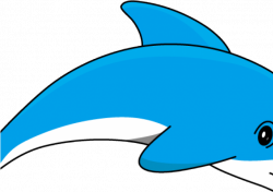 HD Clip Art Of Dolphin Transparent PNG Image Download - Trzcacak